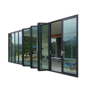 Doorwin 2021Popular black aluminum frame foldable door panel large glass wall and bi folding doors